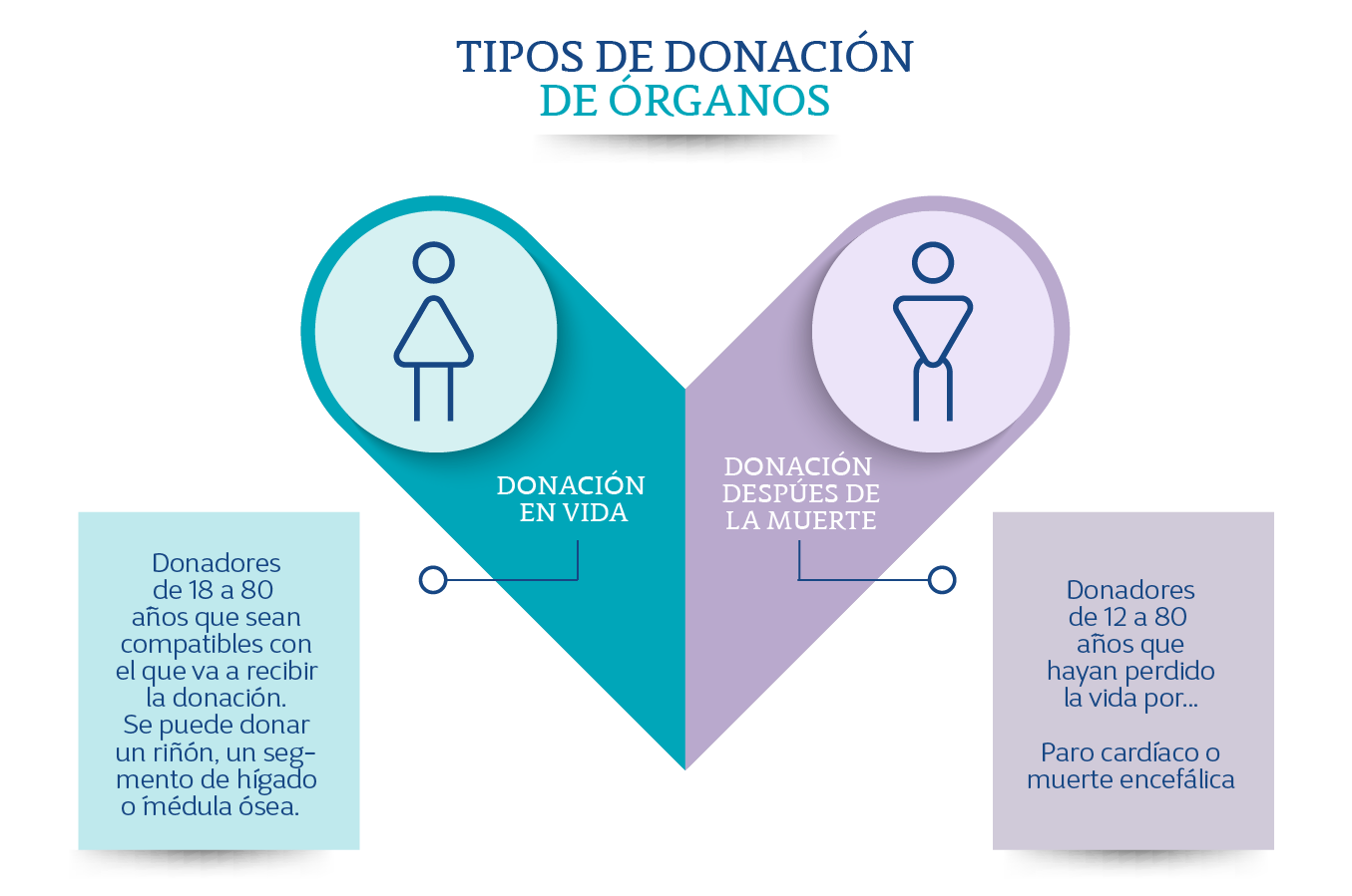 Infografía tipo de trasplantes